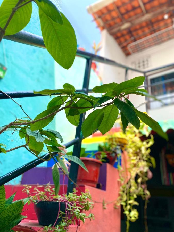 Hostal Casa Guarnicê São Luís